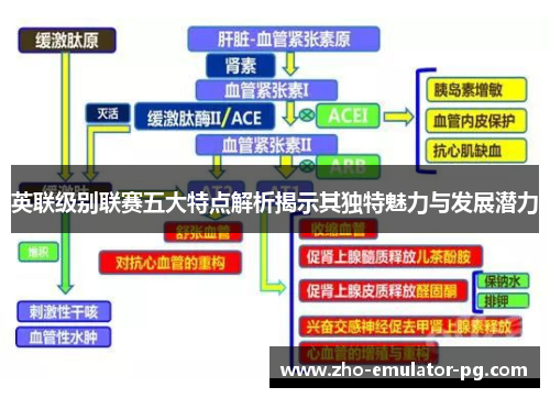 英联级别联赛五大特点解析揭示其独特魅力与发展潜力