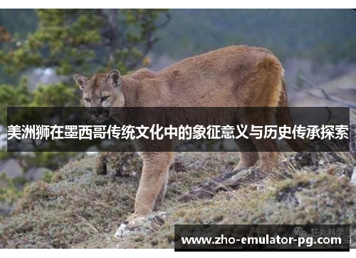 美洲狮在墨西哥传统文化中的象征意义与历史传承探索