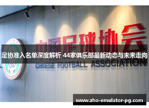 足协准入名单深度解析 44家俱乐部最新动态与未来走向