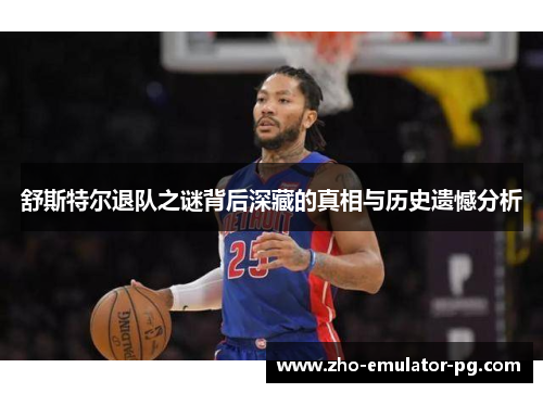 舒斯特尔退队之谜背后深藏的真相与历史遗憾分析