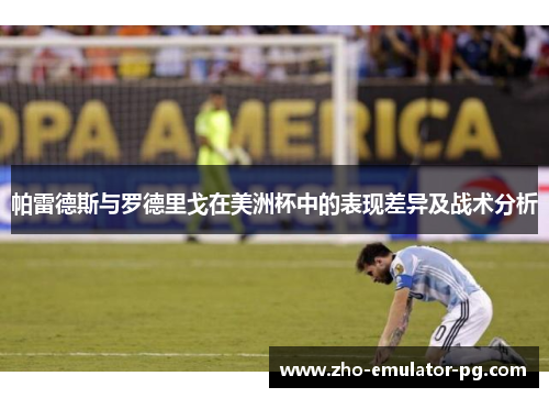 帕雷德斯与罗德里戈在美洲杯中的表现差异及战术分析