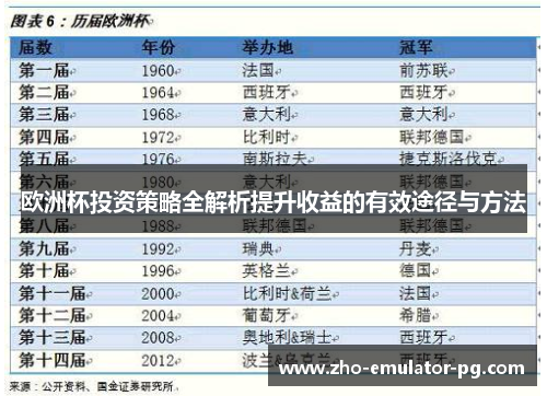 欧洲杯投资策略全解析提升收益的有效途径与方法