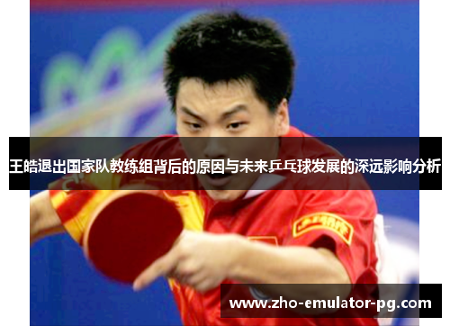 王皓退出国家队教练组背后的原因与未来乒乓球发展的深远影响分析