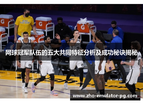 网球冠军队伍的五大共同特征分析及成功秘诀揭秘